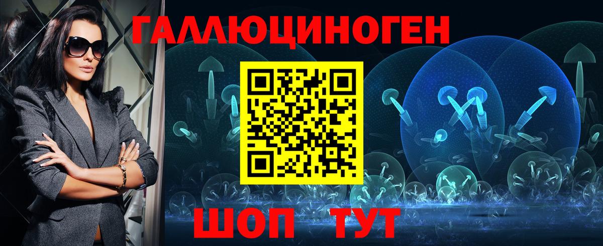Галлюциногенные грибы Psilocybe Йошкар-Ола